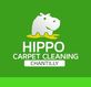 Hippo Carpet Cleaning Chantilly | Carpet Cleaning Chantilly in Chantilly, VA Carpet Rug & Upholstery Cleaners