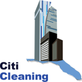 Citi Cleaning Services in Thornton Park - Orlando, FL Carpet & Rug Cleaning Automotive