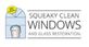 Squeaky Clean Windows Dallas in Southlake, TX Window Installation & Repair