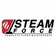Steam Force Complete Floor Maintenance in Island Lake, IL Carpet Cleaning & Dying