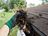 Gutter Cleaning Help Tarpon Springs FL in Tarpon Springs, FL