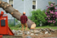 Tree Pruning Cost Lawrenceville GA in Lawrenceville, GA Gardening & Landscaping