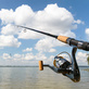 Reel Sport Fishing Charters in Longport, NJ Fishing & Hunting Camps