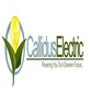 Calliuds Electric in Umc - Las Vegas, NV Electrical Connectors