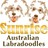 Sunrise Australian Labradoodles in Anthony, FL 32617 Dog Breeders