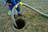 BVD Septic in Wesconnett - Jacksonville, FL