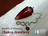 Chakra jewellery supplier - Alakik Universal Exports in Northeast Dallas - Lake Dallas, TX