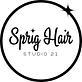 Sprig Hair Studio 21 in Ann Arbor, MI Barber Shops