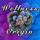 Wellness Origin in Carmel, IN Health Care Information & Services