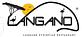 Langano Ethiopian Restaurant in Silver Spring, MD American Restaurants
