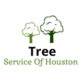 Tree Service of Houston in Montrose - Houston, TX Tree Services