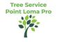 Loma Tree Pros San Diego in Wooded Area - San Diego, CA Tree Services