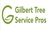 Gilbert Tree Service Pros in Gilbert, AZ