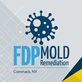 FDP Mold Remediation of Commack in Commack, NY Green - Mold & Mildew Services