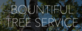Bountiful Tree Service in Bountiful, UT Tree Services