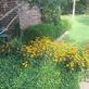 Galvan Landscape in Gainesville, TX Landscape Gardeners