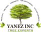 Yanez Tree Service Experts in Rockville, MD Tree Services