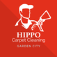 Hippo Carpet Cleaning Garden City in Garden City, NY Carpet Cleaning & Dying