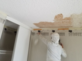 Painting Company Bethesda MD in Bethesda, MD Amish Painting Contractors