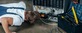 Auto Maintenance & Repair Services in Mountain View, CA 94039