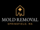 Springfield Mold Removal in Springfield, MA Machinery, Equipment & Supplies - Construction/Contractor Related