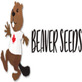 Beaver Seeds in Lake Murray - San Diego, CA Internet Shopping