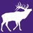 Colorado Web Impressions in Colorado Springs, CO