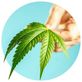 Hakunah Matata Medical Marijuana Lehigh Acres in Lehigh Acres, FL Health & Medical