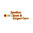 Spotless Clean & Carpet Care in Raleigh, NC