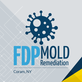 FDP Mold Remediation of Coram in Coram, NY Green - Mold & Mildew Services