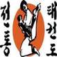 Traditional TaeKwon-Do Center Tampa in Temple Terrace, FL School Martial Arts