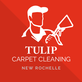 Tulip Carpet Cleaning New Rochelle in New Rochelle, NY Carpet & Rug Cleaners Commercial & Industrial