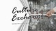 Culture Exchange in Cuyahoga Falls, OH Shopping Center Consultants