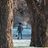 Columbia Pro Tree Service in Columbia, SC 29205 Brewers Home