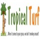 Tropical Turf in Downtown - Miami, FL Artificial Turf Installation Contractors