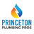 Princeton Plumbing Pros in Princeton, NJ