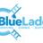 Blue Ladder Roofing Company of Indianapolis in Indianapolis, IN
