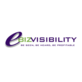 eBizVisibility, in Waitsfield, VT Internet Marketing Services