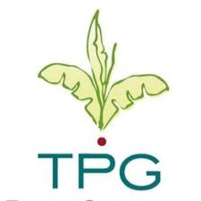TPG - The Plant Gallery in New Orleans, LA 70118 Florists
