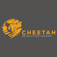 Cheetah Revolution Safaris in Apopka, FL Travel & Tourism
