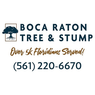 Boca Raton Tree and Stump in Boca Raton, FL 33431 Tree Service
