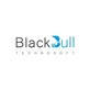 Blackbulltechnosoft in Franklin Square, NY Internet Websites