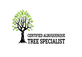 Certified Albuquerque Tree Specialist in Northeast Valley - Albuquerque, NM Tree Surgery