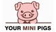 Your Mini Pigs in Temecula, CA Pigs