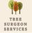Tree Surgeon Services in West End Historic District - Dallas, TX