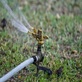 Amarillo Sprinkler Repair Pros in Amarillo, TX Sprinklers Garden & Lawn Installation & Service