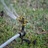 Amarillo Sprinkler Repair Pros in Amarillo, TX 79110 Sprinklers Garden & Lawn Installation & Service