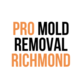 Pro Mold Removal Richmond in Byrd Park - Richmond, VA Green - Mold & Mildew Services