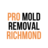 Pro Mold Removal Richmond in Byrd Park - Richmond, VA 23220 Green - Mold & Mildew Services