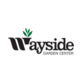 Wayside Garden Center in Macedon, NY Landscape Contractors & Designers